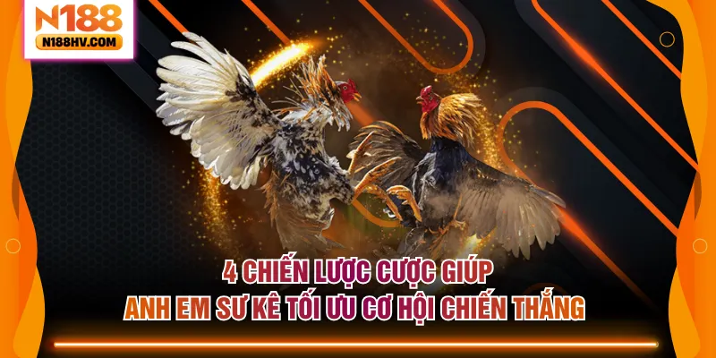 4 chiến lược cược giúp anh em sư kê tối ưu cơ hội chiến thắng 