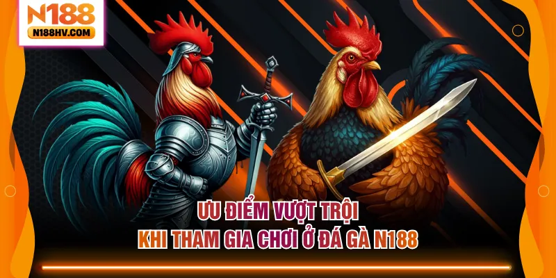 Ưu điểm vượt trội khi tham gia chơi ở đá gà N188